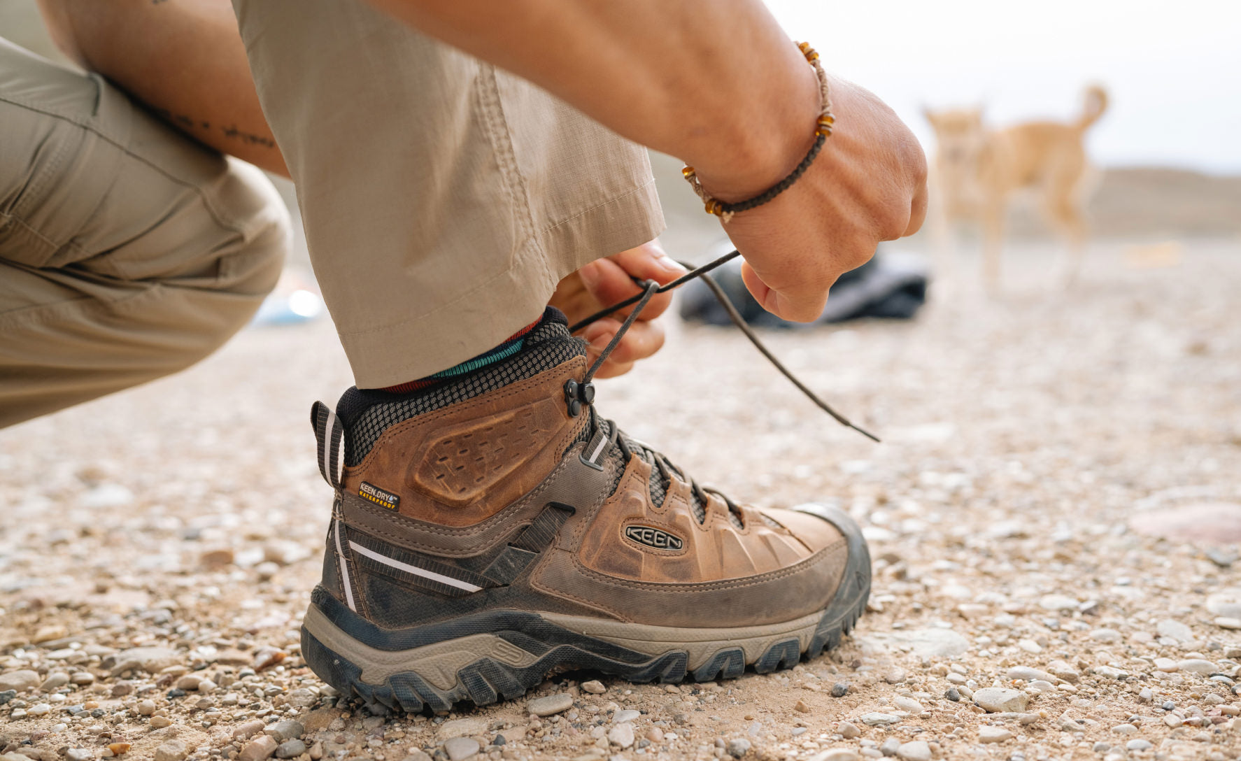 Keen Men's Targhee III Waterproof Mid Black Olive/Golden Brown