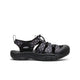 Etudes Black