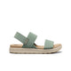 Lily Pad/Birch