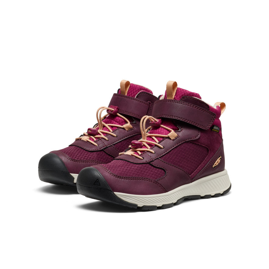 Keen Big Kids' Skua Waterproof Boot Fig/Peach Fuzz