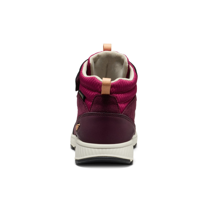 Keen Big Kids' Skua Waterproof Boot Fig/Peach Fuzz