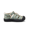 Lily Pad/Black
