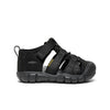 Black/Grey